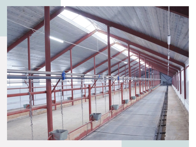 Строительство коровников в Коломне от 608 руб.