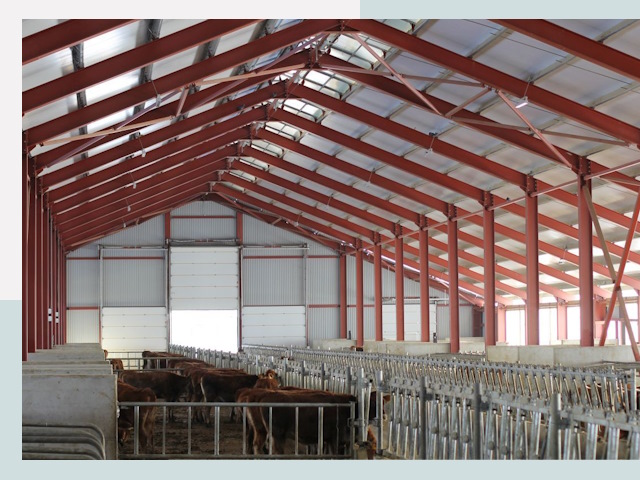 Строительство коровников в Коломне