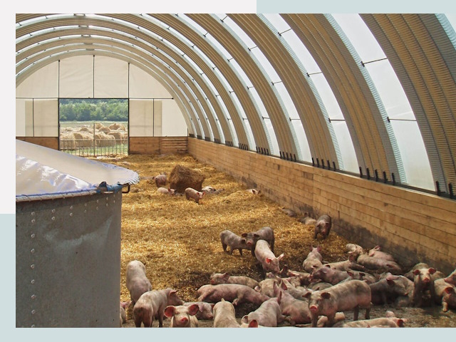 Строительство свинарников в Коломне